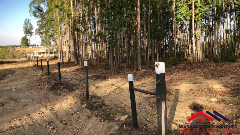 Imagem Chácara com 6 Quartos à Venda, 20.000 m² em Olhos D'água - Alexânia Imagem Chácara com 6 Quartos à Venda, 20.000 m² em Olhos D'água - Alexânia