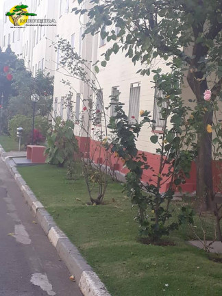 Imagem Apartamento com 2 Quartos à Venda, 55 m² em São Paulo Imagem Apartamento com 2 Quartos à Venda, 55 m² em São Paulo