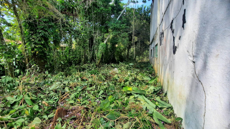 Imagem Terreno à Venda, 280 m² em Tabatinga - Caraguatatuba