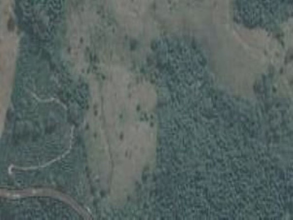 Imagem Imóvel à Venda, 220.000 m² em Zona Rural - Jacutinga Imagem Imóvel à Venda, 220.000 m² em Zona Rural - Jacutinga
