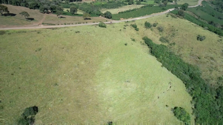 Imagem Fazenda à Venda, 31 m² em Poços De Caldas Imagem Fazenda à Venda, 31 m² em Poços De Caldas