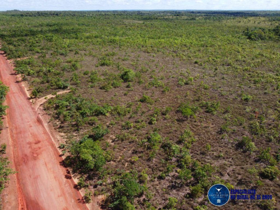 Imagem Fazenda à Venda, 245 m² em Zona Rural - Palmeirante Imagem Fazenda à Venda, 245 m² em Zona Rural - Palmeirante