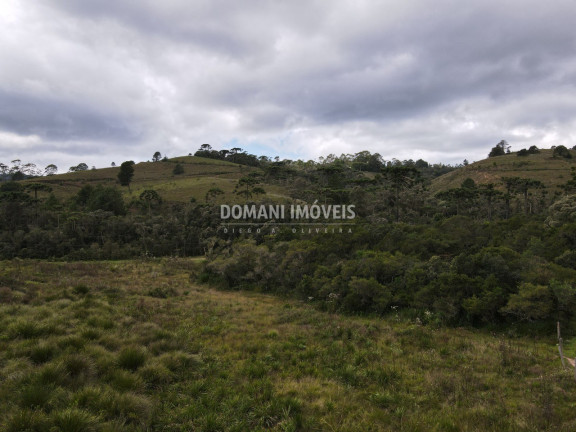 Imagem Terreno à Venda, 7.500 m² em Região Do Parque Da Ferradura - Campos Do Jordão Imagem Terreno à Venda, 7.500 m² em Região Do Parque Da Ferradura - Campos Do Jordão