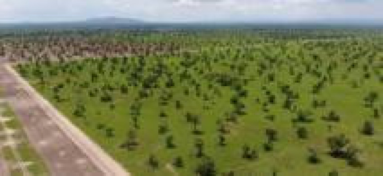 Imagem Fazenda à Venda, 3.100 m² em Rural - Porto Alegre Do Norte
