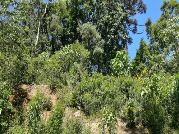 Imagem Terreno à Venda, 444 m² em Linha Imperial - Nova Petrópolis Imagem Terreno à Venda, 444 m² em Linha Imperial - Nova Petrópolis