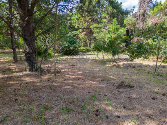 Imagem Terreno à Venda, 21.000 m² em Chácaras Alpina - Valinhos Imagem Terreno à Venda, 21.000 m² em Chácaras Alpina - Valinhos