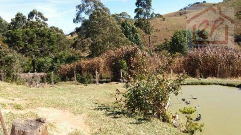 Imagem Fazenda à Venda, 479.160 m² em Catuçaba - São Luiz Do Paraitinga Imagem Fazenda à Venda, 479.160 m² em Catuçaba - São Luiz Do Paraitinga