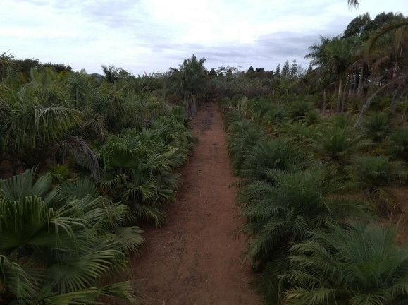 Imagem Imóvel com 4 Quartos à Venda, em Nova Gardênia - Atibaia Imagem Imóvel com 4 Quartos à Venda, em Nova Gardênia - Atibaia