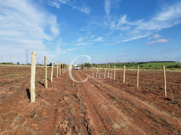 Imagem Chácara à Venda, 2 m² em área Rural De Engenheiro Coelho - Engenheiro Coelho Imagem Chácara à Venda, 2 m² em área Rural De Engenheiro Coelho - Engenheiro Coelho