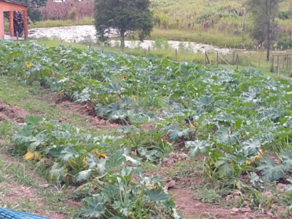 Imagem Chácara à Venda, 19 m² em Pilar Do Sul Imagem Chácara à Venda, 19 m² em Pilar Do Sul
