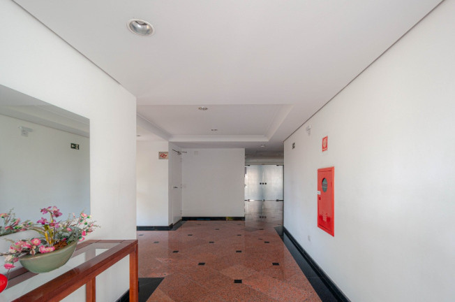 Imagem Apartamento com 3 Quartos à Venda, 66 m² em Jardim São Paulo - São Paulo Imagem Apartamento com 3 Quartos à Venda, 66 m² em Jardim São Paulo - São Paulo