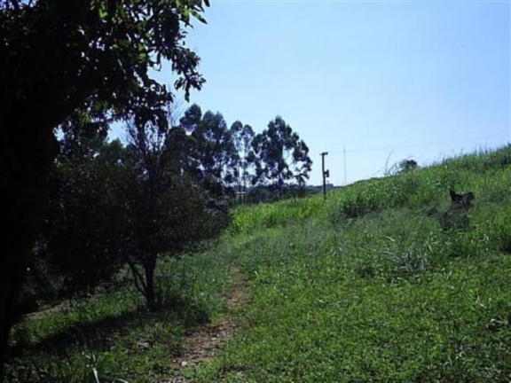 Imagem Imóvel com 3 Quartos à Venda, 37.800 m² em Três Vendas - Campinas Imagem Imóvel com 3 Quartos à Venda, 37.800 m² em Três Vendas - Campinas