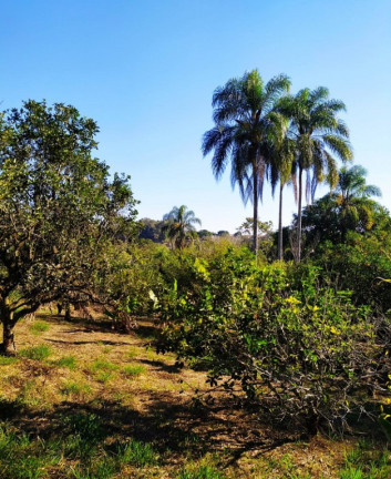 Imagem Imóvel à Venda, em São José Dos Campos Imagem Imóvel à Venda, em São José Dos Campos