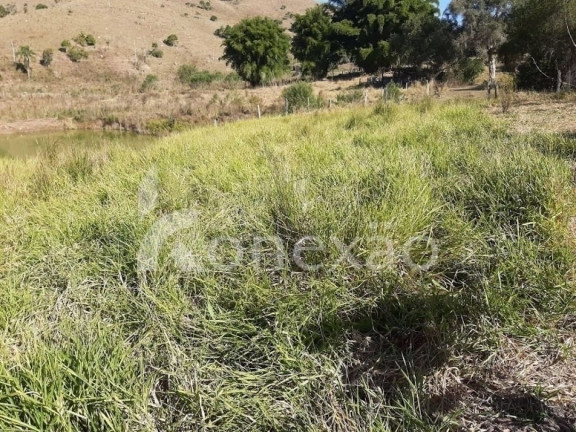 Imagem Chácara com 4 Quartos à Venda, 200 m² em Centro - Paraibuna