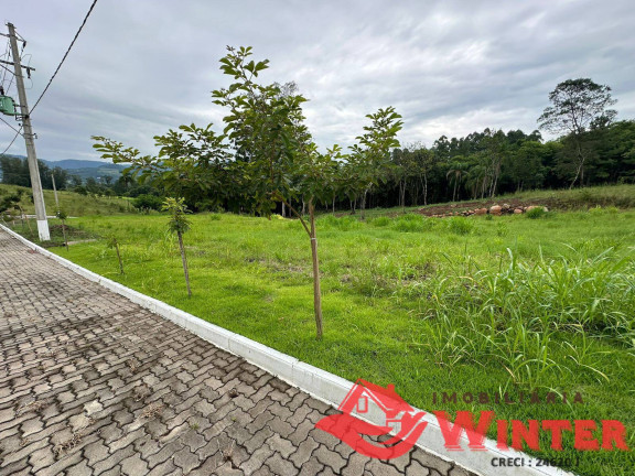 Imagem Terreno à Venda, 390 m² em Picada Cara - Feliz Imagem Terreno à Venda, 390 m² em Picada Cara - Feliz