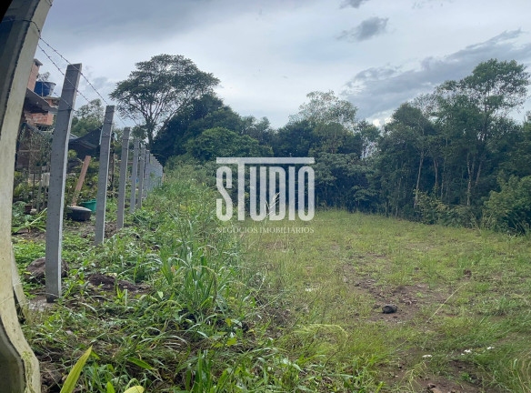 Imagem Terreno à Venda, 10.000 m² em Desvio Machado - Carlos Barbosa Imagem Terreno à Venda, 10.000 m² em Desvio Machado - Carlos Barbosa