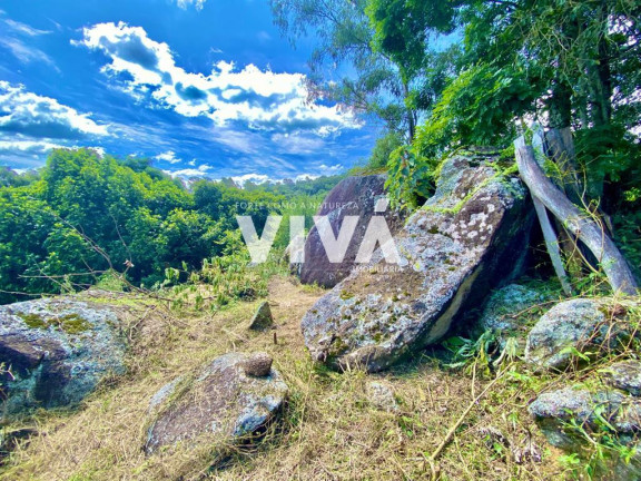 Imagem Fazenda à Venda, 10.000 m² em Vila Rica - Extrema