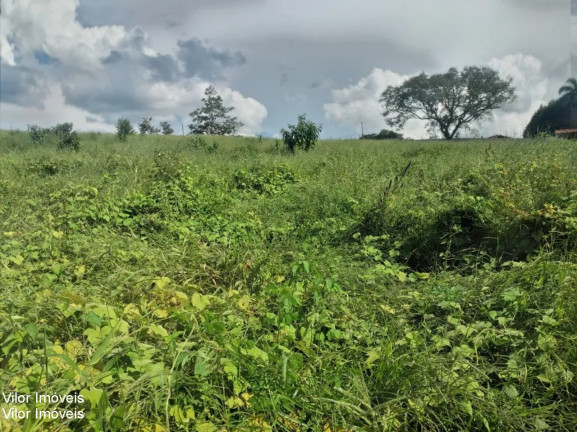 Imagem Terreno à Venda, 10.000 m² em área Rural De Itu - Itu Imagem Terreno à Venda, 10.000 m² em área Rural De Itu - Itu