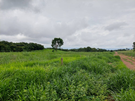 Imagem Chácara com 3 Quartos à Venda, 120 m² em Distrito Da Guia - Cuiabá Imagem Chácara com 3 Quartos à Venda, 120 m² em Distrito Da Guia - Cuiabá