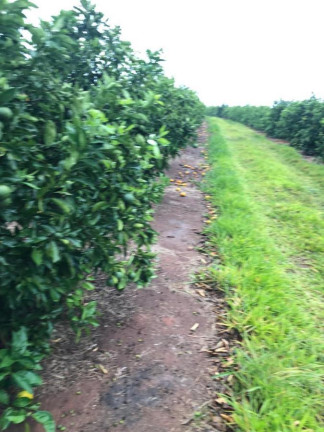 Imagem Chácara à Venda, 14 m² em Rural - águas De Santa Bárbara