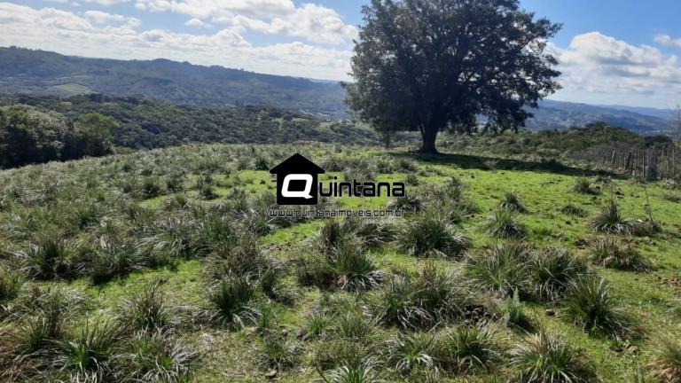 Imagem Imóvel com 2 Quartos à Venda, 8.000.000 m² em Centro - Santana Da Boa Vista Imagem Imóvel com 2 Quartos à Venda, 8.000.000 m² em Centro - Santana Da Boa Vista