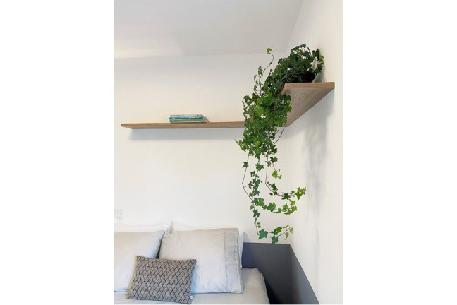 Imagem Apartamento com 1 Quarto à Venda, 35 m² em Saúde - São Paulo Imagem Apartamento com 1 Quarto à Venda, 35 m² em Saúde - São Paulo