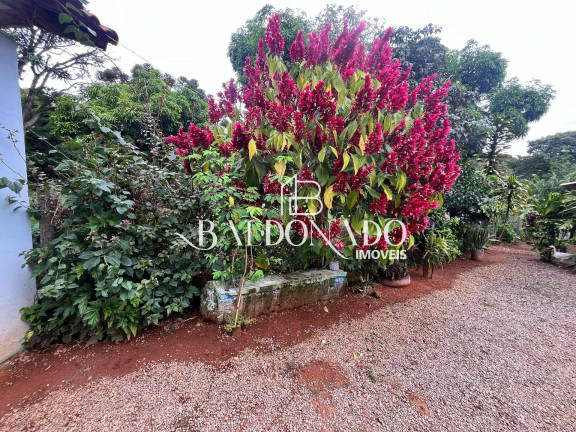 Imagem Fazenda à Venda, 1.600 m² em Munhoz - Munhoz Imagem Fazenda à Venda, 1.600 m² em Munhoz - Munhoz
