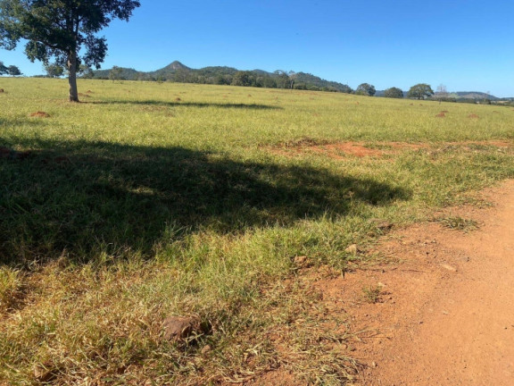 Imagem Chácara à Venda, 1 m² em Zona Rural - Taquaral De Goiás Imagem Chácara à Venda, 1 m² em Zona Rural - Taquaral De Goiás