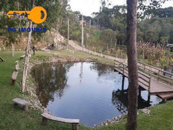 Imagem Chácara com 4 Quartos à Venda, 3.039 m² em Areia Branca - Mandirituba