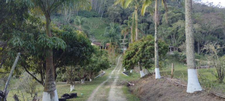 Chácara com 3 Quartos à Venda,  em Morro Grande - São Luíz Do Paraitinga