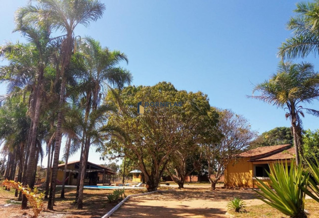 Imagem Imóvel com 3 Quartos à Venda, 20.000 m² em Setor Habitacional Tororó (jardim Botânico) - Brasília Imagem Imóvel com 3 Quartos à Venda, 20.000 m² em Setor Habitacional Tororó (jardim Botânico) - Brasília