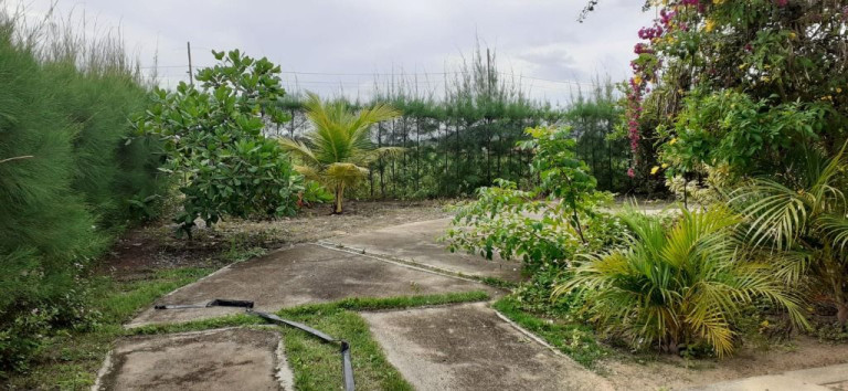 Imagem Casa com 2 Quartos à Venda, 140 m² em Gurinhém - Gurinhém Imagem Casa com 2 Quartos à Venda, 140 m² em Gurinhém - Gurinhém