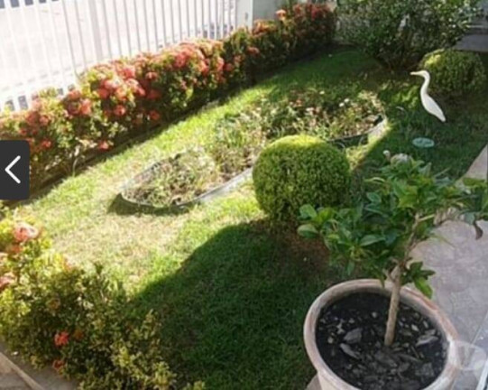Casa à Venda,  em Cambuí - Campinas