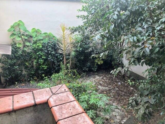 Imagem Loja para Alugar, 450 m² em Vila Uberabinha - São Paulo