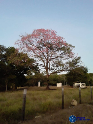 Imagem Fazenda à Venda, 57 m² em Zona Rural - Mozarlândia Imagem Fazenda à Venda, 57 m² em Zona Rural - Mozarlândia