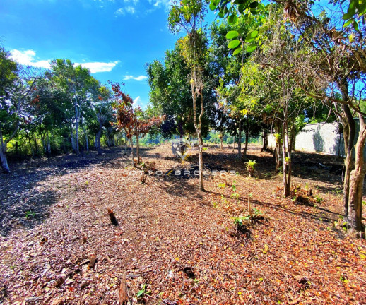 Imagem Terreno à Venda, 600 m² em Chácaras Panôramicas - Porto Seguro Imagem Terreno à Venda, 600 m² em Chácaras Panôramicas - Porto Seguro