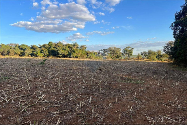 Imagem Fazenda à Venda, 710.000 m² em Perdizes - Perdizes