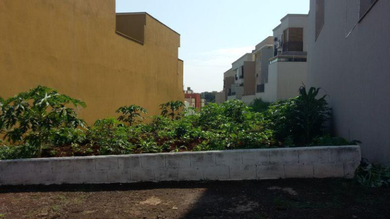 Terreno à Venda, 250 m² em Jardim Botânico - Ribeirão Preto