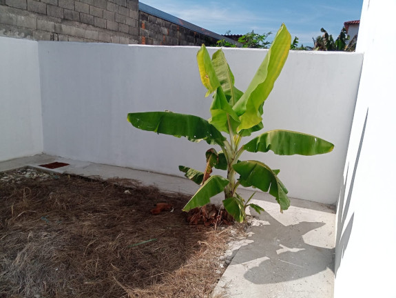 Imagem Casa com 2 Quartos à Venda, 60 m² em Conjunto Residencial Araretama - Pindamonhangaba