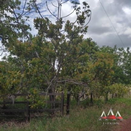 Imagem Chácara com 1 Quarto à Venda, 30.000 m² em Coxipó Do Ouro - Cuiabá Imagem Chácara com 1 Quarto à Venda, 30.000 m² em Coxipó Do Ouro - Cuiabá