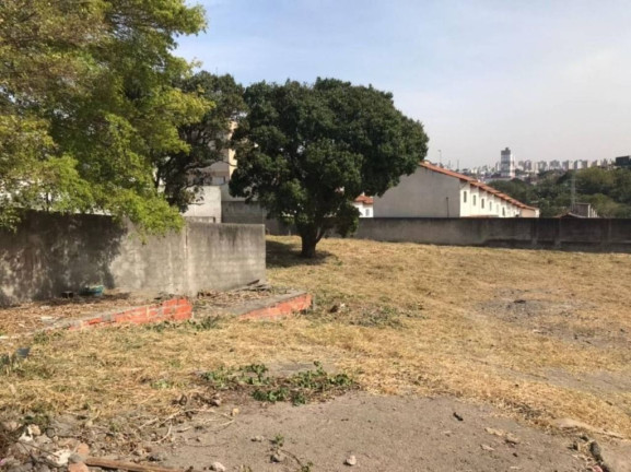 Imagem Terreno para Alugar, 2.166 m² em Paulicéia - São Bernardo Do Campo