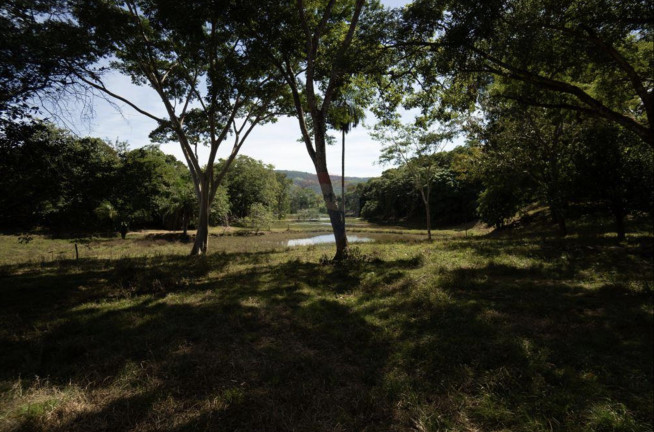 Imagem Fazenda à Venda, 82.000 m² em Centro - Acorizal Imagem Fazenda à Venda, 82.000 m² em Centro - Acorizal