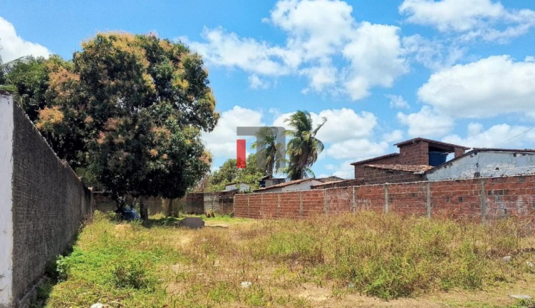 Imagem Terreno à Venda, 530 m² em São José - Macaíba