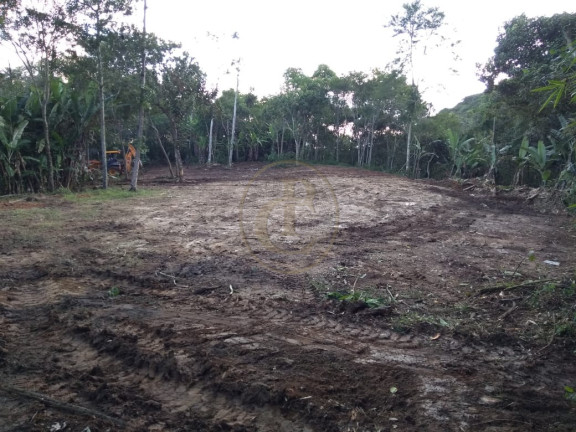 Imagem Chácara à Venda, em São Benedito - Monteiro Lobato Imagem Chácara à Venda, em São Benedito - Monteiro Lobato
