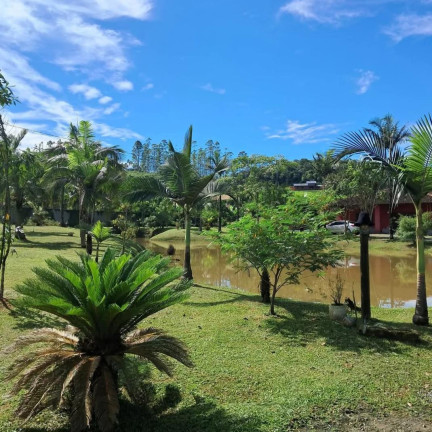 Imagem Imóvel com 4 Quartos para Alugar ou Temporada, 8.000 m² em Morretes - Balneário Piçarras Imagem Imóvel com 4 Quartos para Alugar ou Temporada, 8.000 m² em Morretes - Balneário Piçarras