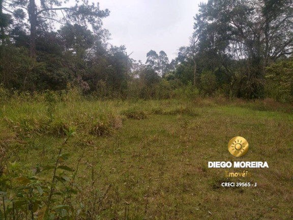 Imagem Chácara com 2 Quartos à Venda, 60 m² em Terra Preta - Mairiporã Imagem Chácara com 2 Quartos à Venda, 60 m² em Terra Preta - Mairiporã