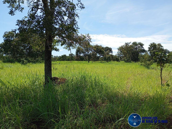 Imagem Fazenda à Venda, 60 m² em Zona Rural - Jussara Imagem Fazenda à Venda, 60 m² em Zona Rural - Jussara