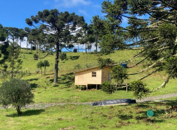 Imagem Imóvel com 1 Quarto à Venda, 20.000 m² em Zona Rural - Urubici Imagem Imóvel com 1 Quarto à Venda, 20.000 m² em Zona Rural - Urubici