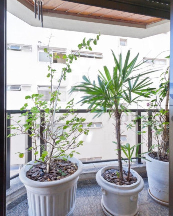Imagem Apartamento com 3 Quartos à Venda, 177 m² em Perdizes - São Paulo Imagem Apartamento com 3 Quartos à Venda, 177 m² em Perdizes - São Paulo