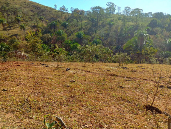 Imagem Fazenda à Venda, 12 m² em Zona Rural - Padre Bernardo Imagem Fazenda à Venda, 12 m² em Zona Rural - Padre Bernardo